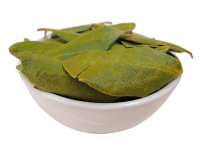 Рододендрон золотистый, кашкара